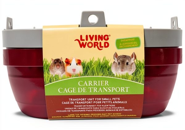 Living World Small Pet Carrier Plastic Design-2